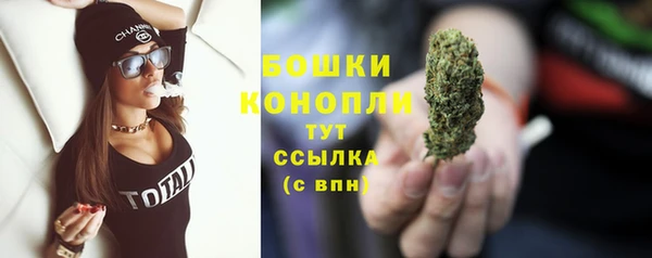 мдпв Михайловск