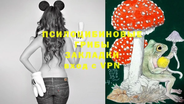 мяу мяу мука Белоозёрский