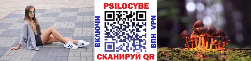 Псилоцибиновые грибы Psilocybe  закладка  Александровское 