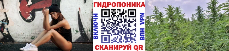 Бошки марихуана семена Александровское